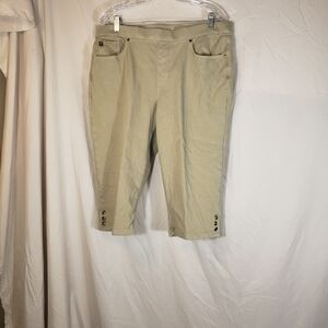 Belle by Kim Gravel Khaki Pants - 16